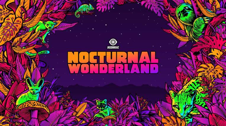 Nocturnal Wonderland
