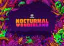 Nocturnal Wonderland