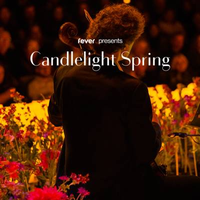 Candlelight Spring Queen vs. ABBA