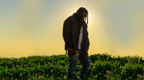 Rexx Life Raj