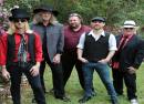 The Wildflowers - A Tribute to Tom Petty & The Heartbreakers