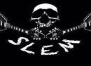 SLEM