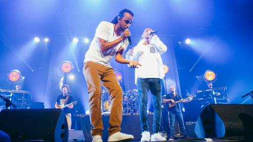 Dub Inc