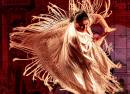 Flamenco de Leones, Madrid