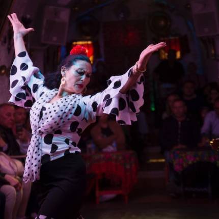 Flamenco en las Cuevas del Sacromonte Los Tarantos