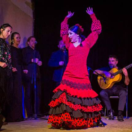 Flamenco Show Sevilla + drink