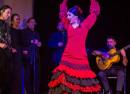 Flamenco Show Sevilla + drink