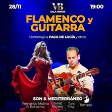 Flamenco y Guitarra