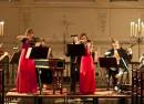 Four Seasons and The Lark Ascending  by Candlelight at St Patrick’s Cathedral