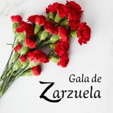 Gala de Zarzuela - Coro Talía