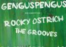 Genguspengus + Rocky Ostrich + The Grooves