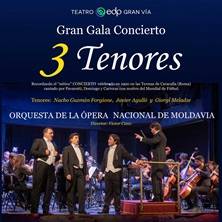 Gran Gala Concierto 3 Tenores