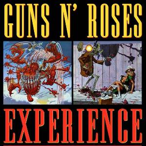 Guns N Roses Experience
