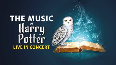 Harry Potter Live In Concert