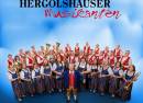 Hergolshäuser Musikanten