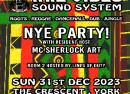 Irie Vibes Sound System NYE Party!