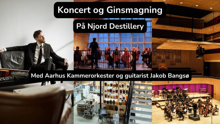 Koncert og Ginsmagning