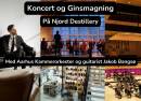 Koncert og Ginsmagning