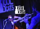 Live Music at Cool Cats Tuesday Chicago Blues