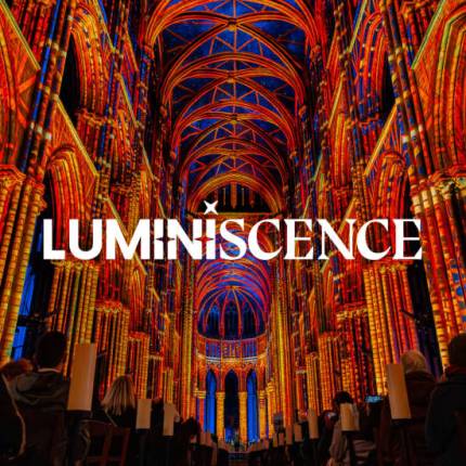 LUMINISCENCE Sumérgete en los secretos de la Catedral de San Sebastián