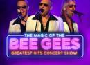 Magic Of The Bee Gees
