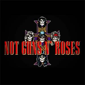 Not Guns 'n' Roses