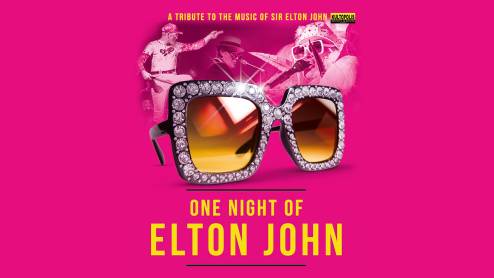 One Night of Elton John