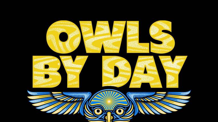 Owls By Day