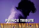 Prince Tribute Endorphinmachine