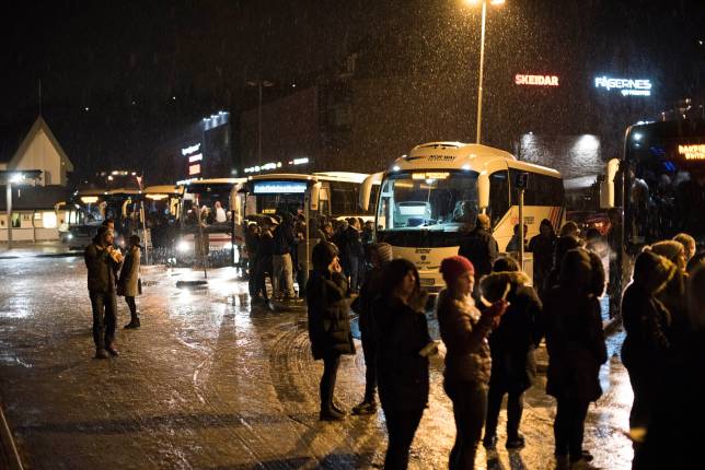 Rakfiskfestivalen busstransport