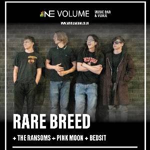 Rare Breed + Support