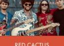 Red Cactus