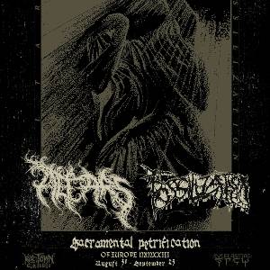 Sacramental Petrification: Altars & Fossilization