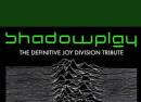 Shadowplay - the Definitive Joy Division Tribute