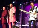 Showaddywaddy Elite - Live On Stage