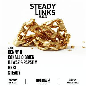 STEADY LINKS