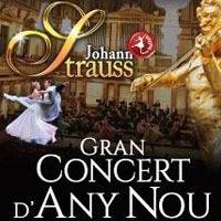Strauss Festival Ballet Ensemble