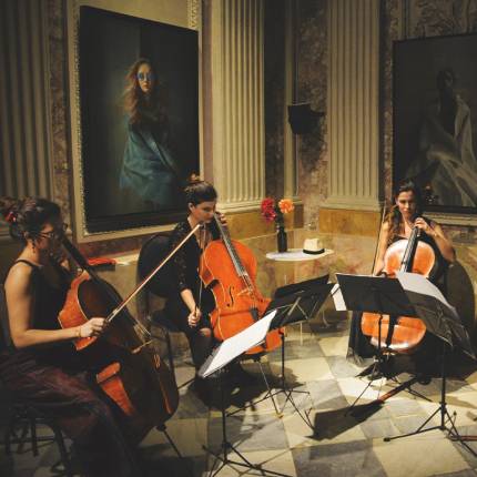 Tardes de Música Clásica en el MEAM concierto y visita al museo