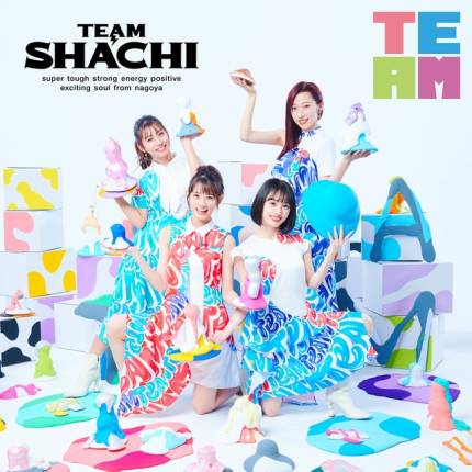 Team Shachi