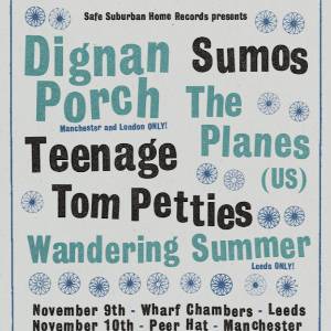 Teenage Tom Petties + Guests