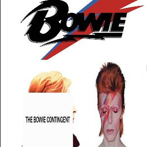 The Bowie Contingent