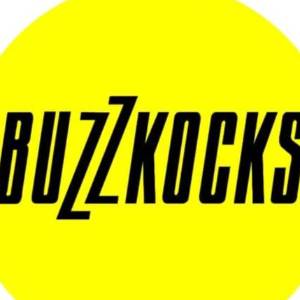 THE BUZZKOCKS - Tribute to the Buzzcocks.