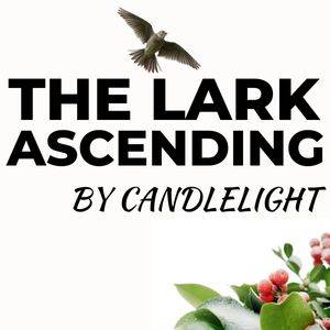 The Lark Ascending at Christmas