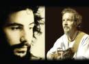 The Music of Cat Stevens