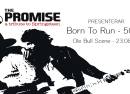 The Promise - a tribute to Springsteen