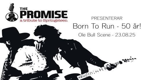 The Promise - a tribute to Springsteen