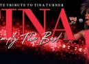 Tina - Simply the Best