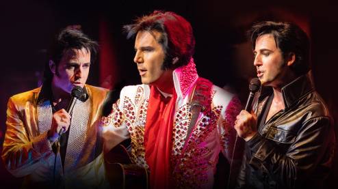 Tribute To Elvis