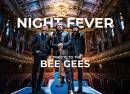 Tribute To The Bee Gees