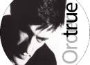 True Order (A Tribute to New Order)
